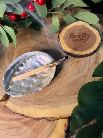 Abalone Shell Incense Holder